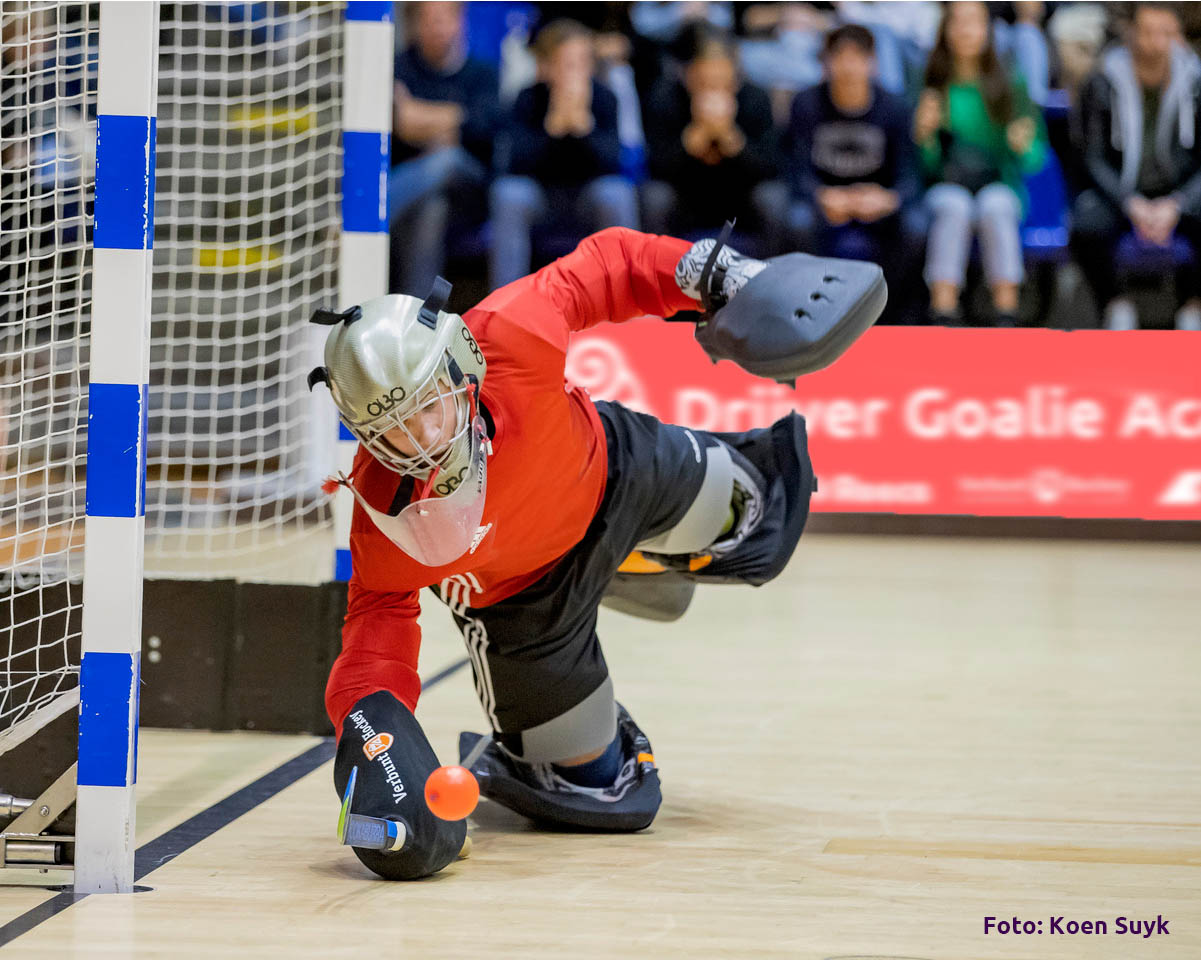 Drijver Goalie Academy