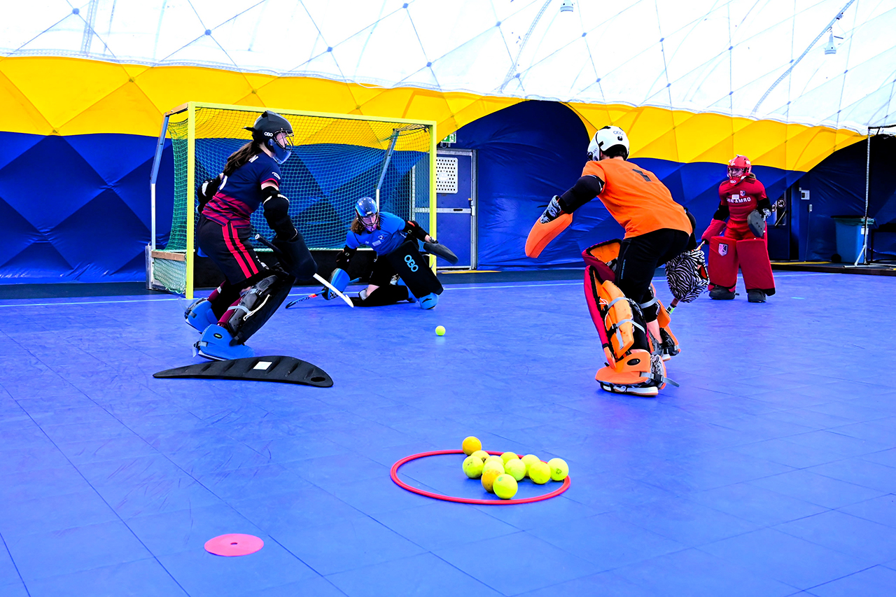 Drijver Goalie Academy